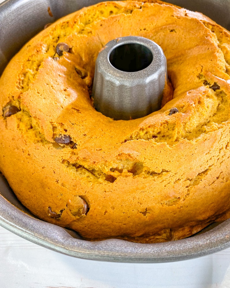 chocolate chip pumpkin cake