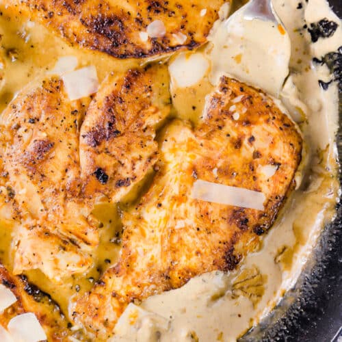 Creamy chicken