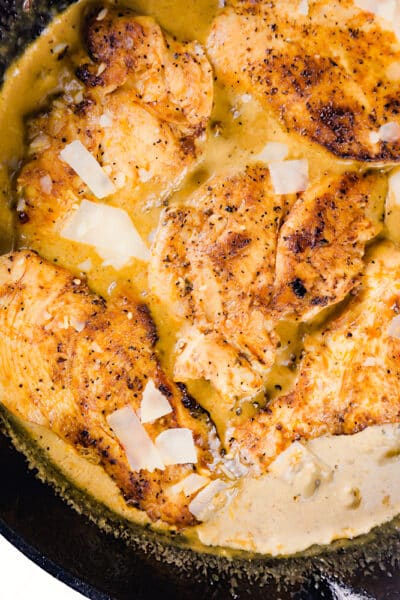 creamy chicken