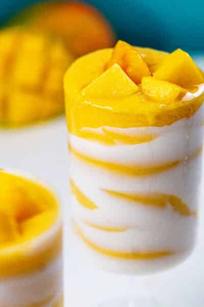 Mango Coconut Smoothie